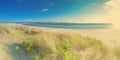 Norwegian beach on a sunny day