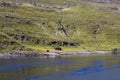 Norwegian coast with colored house