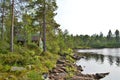 Norwegian Countryside.