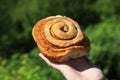 Kanelbolle cinnamon bun in Norway