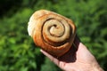 Norwegian cuisine - Kanelbolle cinnamon roll