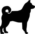 Norwegian Elkhound silhouette black Royalty Free Stock Photo