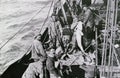 Norwegian fishermen holding up a cod fish