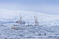 Norwegian fishing boat and Killer Whale Royalty Free Stock Photo