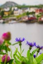 Norwegian fishing village, Reine Lofoten Norway Royalty Free Stock Photo