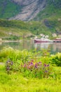 Norwegian fishing village, Reine Lofoten Norway Royalty Free Stock Photo