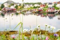 Norwegian fishing village, Reine Lofoten Norway Royalty Free Stock Photo