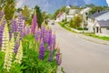 Norwegian fishing village, Reine Lofoten Norway Royalty Free Stock Photo