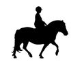 Running horse silhouette Royalty Free Stock Photo