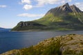 Norwegian fjord landscape Royalty Free Stock Photo