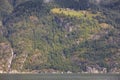 Norwegian fjord landscape with waterfall and houses. Sorfjorden. Norway.