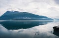 Norwegian fjord and summer landscape Royalty Free Stock Photo