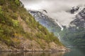 Norwegian Fjord