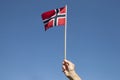 Norwegian flag. Royalty Free Stock Photo