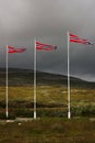 Three norwegian flags above meadow under cloudy rainy ky