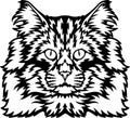 Norwegian Forest Cat Vector, Peeking Cats, Cats Breed, Pet Vector portrait, Cats Head