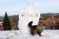 A Norwegian Forest Cat in Winter in front of a Snowman