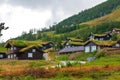 Norwegian grass roof village houses summer rainy day view Royalty Free Stock Photo