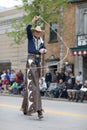 Norwegian Heritage Festival