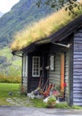 Norwegian house facade with grass roof Royalty Free Stock Photo