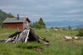 Norwegian idyl