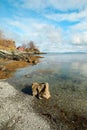 Norwegian landscape Royalty Free Stock Photo
