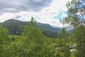 Norwegian landscape with trees firs mountains and rocks. Norway Nature Royalty Free Stock Photo