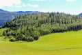 Norwegian landscape with trees firs mountains and rocks. Norway Nature Royalty Free Stock Photo