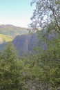 Norwegian landscape with trees firs mountains and rocks. Norway Nature Royalty Free Stock Photo