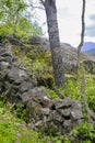 Norwegian landscape with trees firs mountains and rocks. Norway Nature Royalty Free Stock Photo