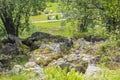 Norwegian landscape with trees firs mountains and rocks. Norway Nature Royalty Free Stock Photo