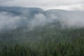 Norwegian landscape with white fog over green trees with mountains in the background Royalty Free Stock Photo