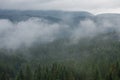 Norwegian landscape with white fog over green trees with mountains in the background Royalty Free Stock Photo