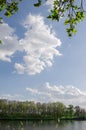 Norwegian landscape: Wild forrest and lake. Royalty Free Stock Photo