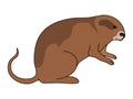 Norwegian Lemming vector illustration