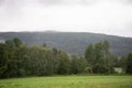 Norwegian mountain fjord landscape overgrown with green conifers, in the foreground a meadow with green freshly cut grass and Royalty Free Stock Photo