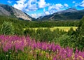 Norwegian mountains in summer Royalty Free Stock Photo