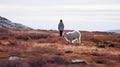 Norwegian Nature: A Captivating Woman And Her Sheep