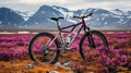 Norwegian Nature: Mountain Bike Amidst Purple Bushes