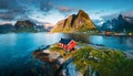 norwegian nature with red houses