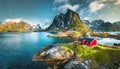 norwegian nature with red houses