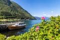 Norwegian landscape with fjord, flowers an a boat Royalty Free Stock Photo