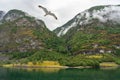 Norwegian rural houses fjord sea landscape view Royalty Free Stock Photo