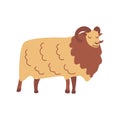 Norwegian Sheep. Fluffy animal. Vector hand drawn