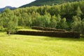 Norwegian traditioinal hay drying, Husmannsplassen Kjelvik, Leirfjord, Norland County, Norway