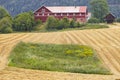 Norwegian traditional farm house and wheat field in the countryside Royalty Free Stock Photo