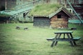 Norwegian typical grass roof country house
