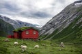 Norwegian typical grass roof red wooden house in scandinavian panorama