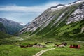 Norwegian typical grass roof wooden houses in a sunny scandinavian panorama Royalty Free Stock Photo