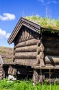 Norwegian typical house